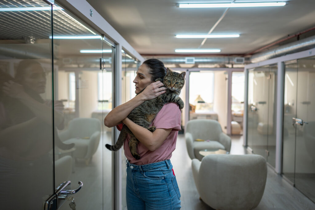 Animal shelters need grant funding to keep their programs running.